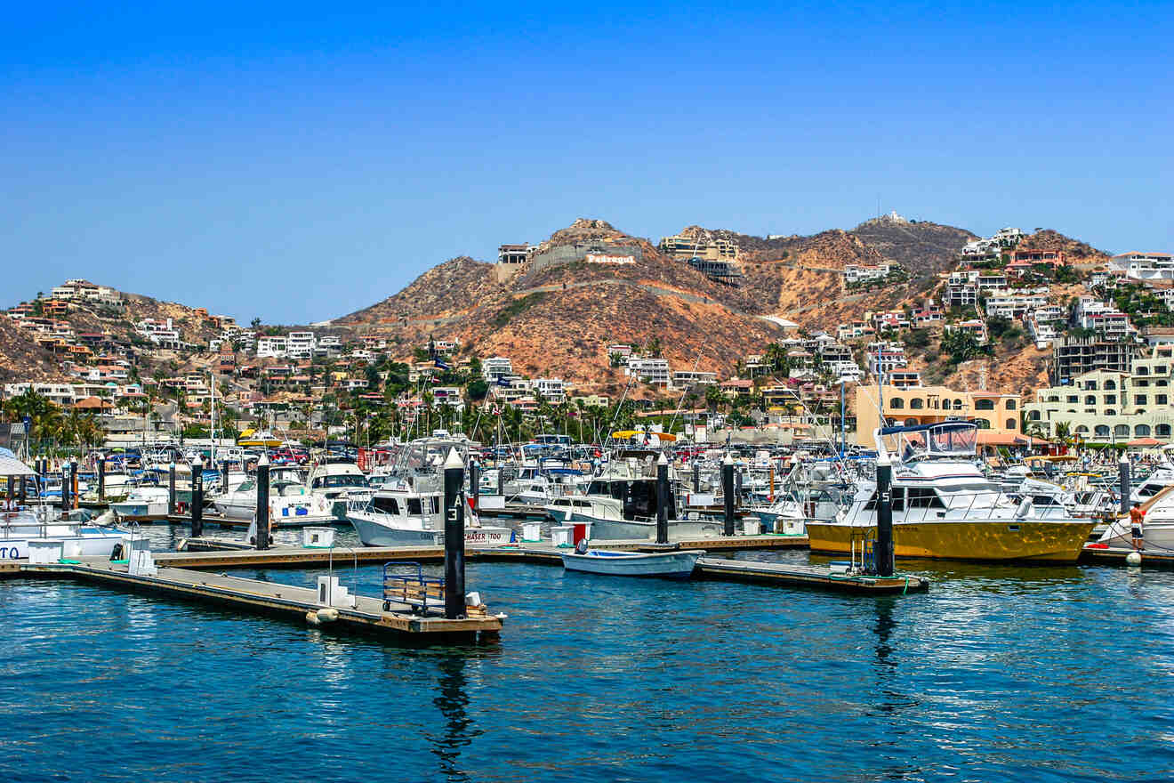 3 best parties on the Baja Peninsula